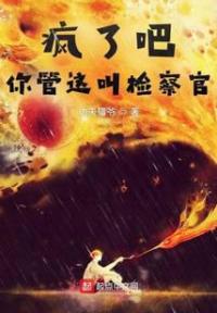 疯了吧，你管这叫检察官